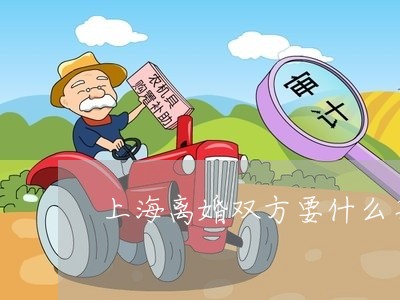 上海离婚双方要什么手续/2023041304158