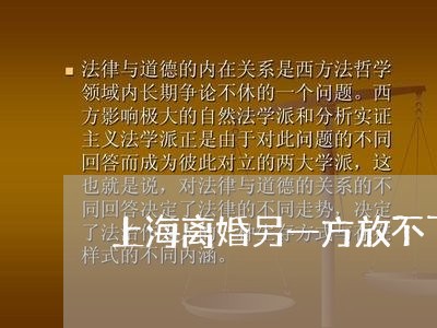 上海离婚另一方放不下怎么办/2023032484857