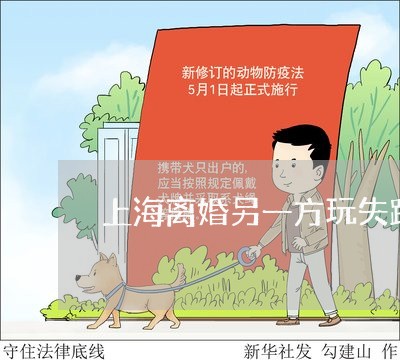 上海离婚另一方玩失踪咋解决/2023032482492
