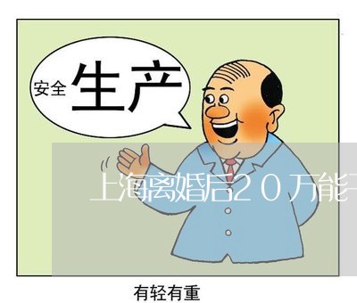 上海离婚后20万能干嘛/2023041314906