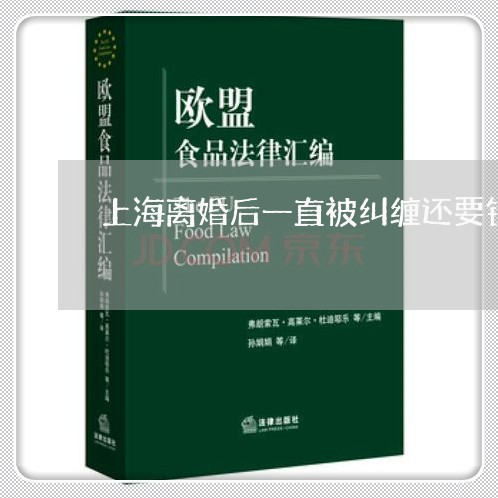 上海离婚后一直被纠缠还要钱/2023032463692 上海离婚后一直被纠缠还要钱/2023032463692