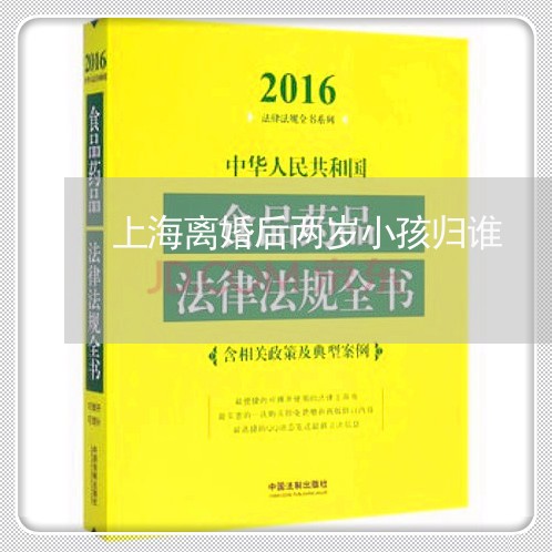 上海离婚后两岁小孩归谁/2023041370404