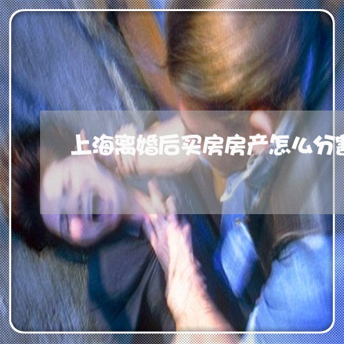 上海离婚后买房房产怎么分割/2023032438462