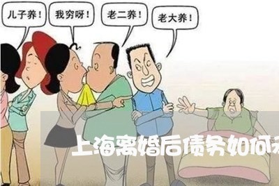 上海离婚后债务如何承担/2023041327360