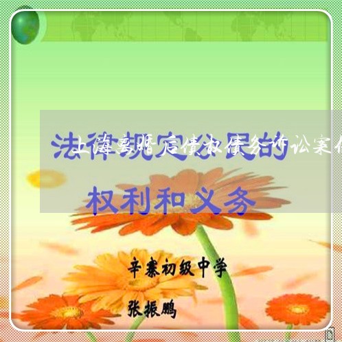 上海离婚后债权债务诉讼案例/2023032418352