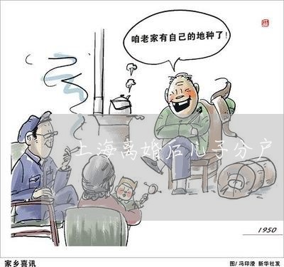 上海离婚后儿子分户/2023032640270
