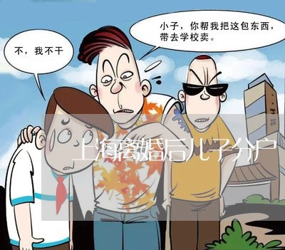 上海离婚后儿子分户/2023032674807