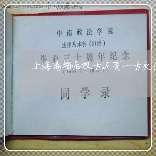 上海离婚后双方还有一方欠债/2023032497381 上海离婚后双方还有一方欠债/2023032497381