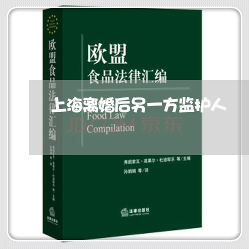 上海离婚后另一方监护人/2023041362806