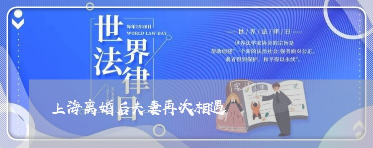 上海离婚后夫妻再次相遇/2023021761504 上海离婚后夫妻再次相遇/2023021761504