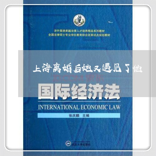 上海离婚后她又遇见了他/2023021727459 上海离婚后她又遇见了他/2023021727459