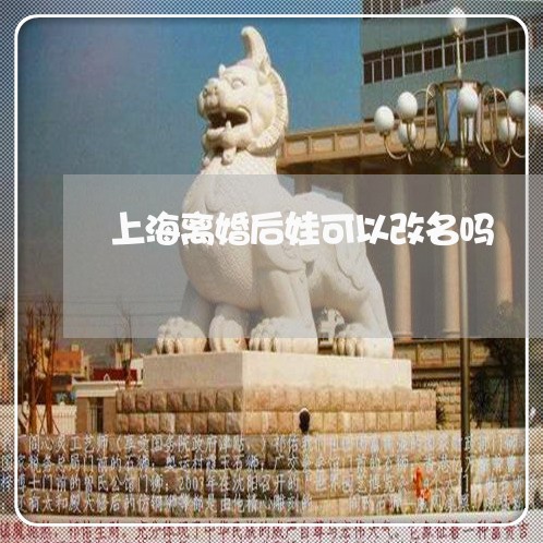 上海离婚后娃可以改名吗/2023021714059 上海离婚后娃可以改名吗/2023021714059