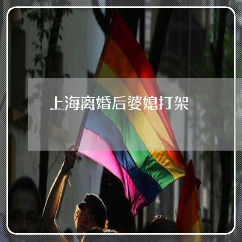 上海离婚后婆媳打架/2023032562536 上海离婚后婆媳打架/2023032562536