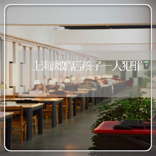 上海离婚后孩子一人犯罪/2023021773895 上海离婚后孩子一人犯罪/2023021773895