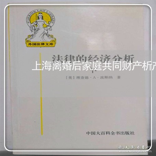 上海离婚后家庭共同财产析产/2023032438148 上海离婚后家庭共同财产析产/2023032438148