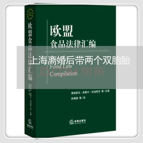 上海离婚后带两个双胞胎/2023041214835