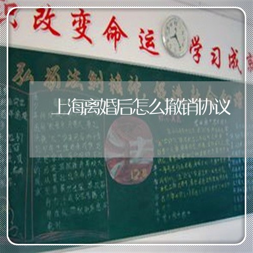 上海离婚后怎么撤销协议/2023041206148