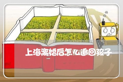上海离婚后怎么追回孩子/2023021875026 上海离婚后怎么追回孩子/2023021875026