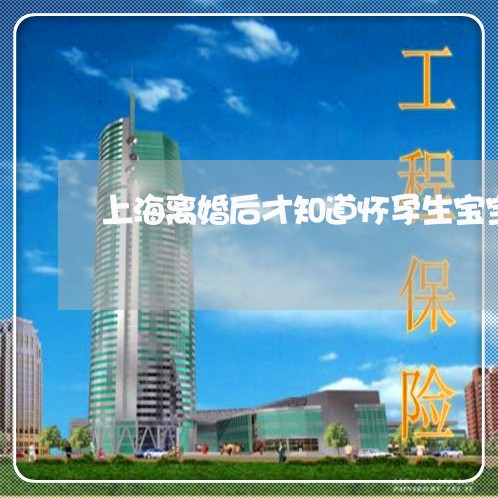 上海离婚后才知道怀孕生宝宝/2023032452713 上海离婚后才知道怀孕生宝宝/2023032452713