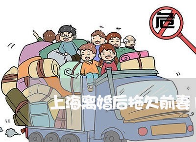 上海离婚后拖欠前妻110万/2023032305835