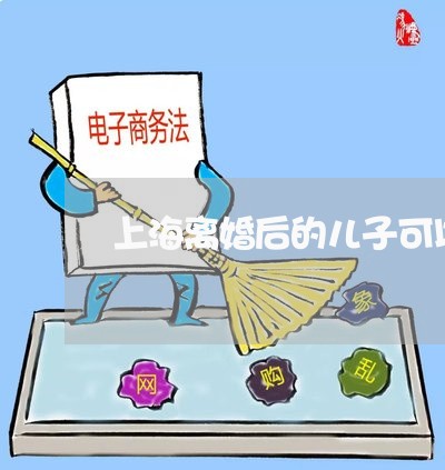 上海离婚后的儿子可以分户吗/2023032352905