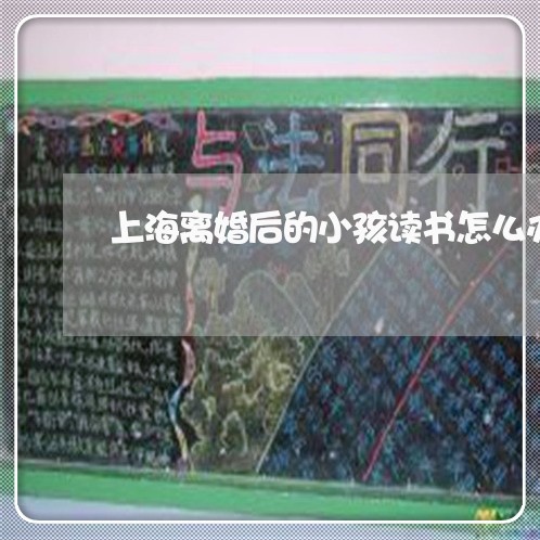 上海离婚后的小孩读书怎么办/2023032439582