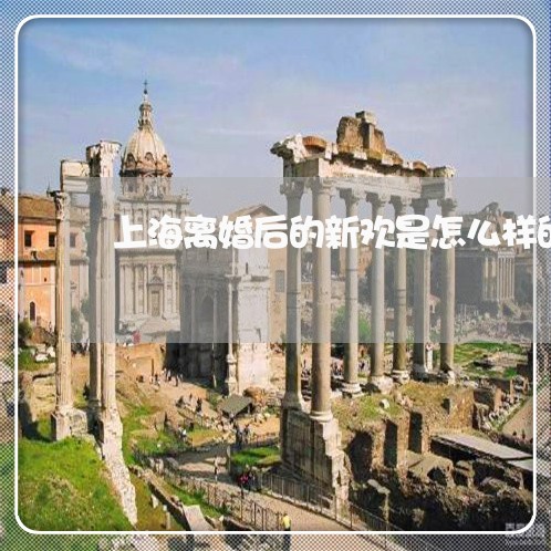 上海离婚后的新欢是怎么样的/2023032426926 上海离婚后的新欢是怎么样的/2023032426926