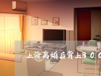 上海离婚后背上300万外债/2023032425158
