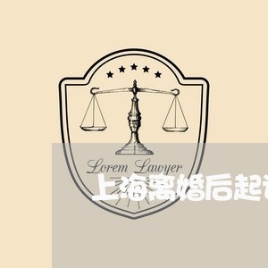 上海离婚后起诉财产继续分割/2023032462946
