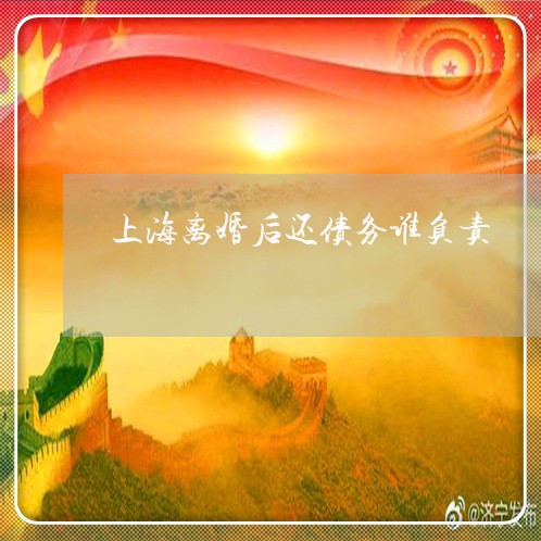 上海离婚后还债务谁负责/2023041373636