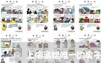 上海离婚唯一的房子分配/2023021873594