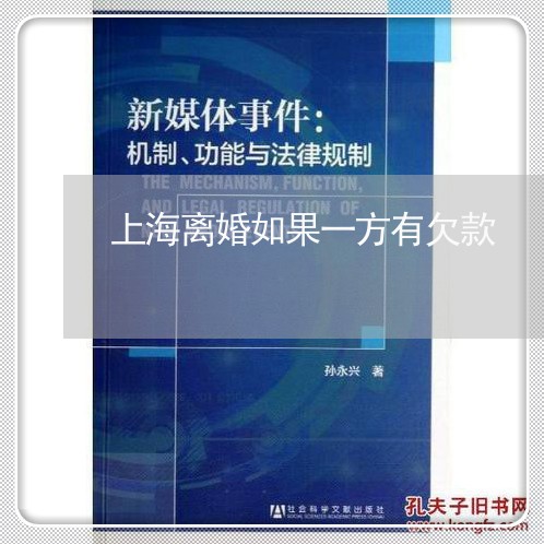 上海离婚如果一方有欠款/2023041341715