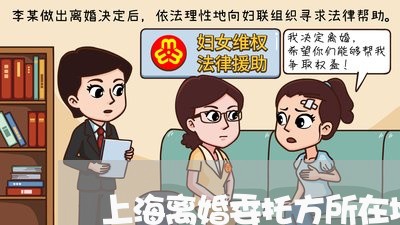 上海离婚委托方所在地怎么填/2023032437281