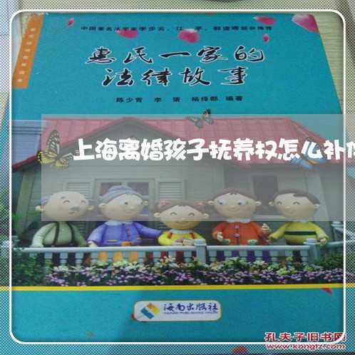 上海离婚孩子抚养权怎么补偿/2023032414926 上海离婚孩子抚养权怎么补偿/2023032414926