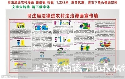 上海离婚孩子抚养权谁更合适/2023032494626 上海离婚孩子抚养权谁更合适/2023032494626