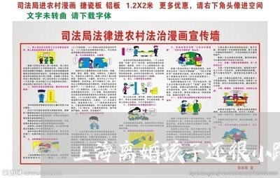 上海离婚孩子还很小跟谁/2023041296148