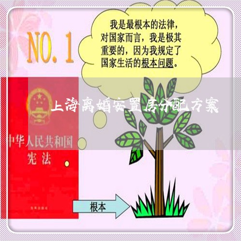 上海离婚安置房分配方案/2023041230492