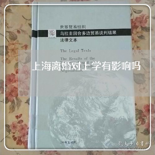 上海离婚对上学有影响吗/2023041350514