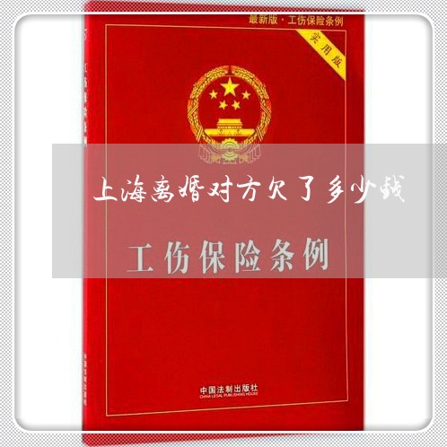 上海离婚对方欠了多少钱/2023041204049