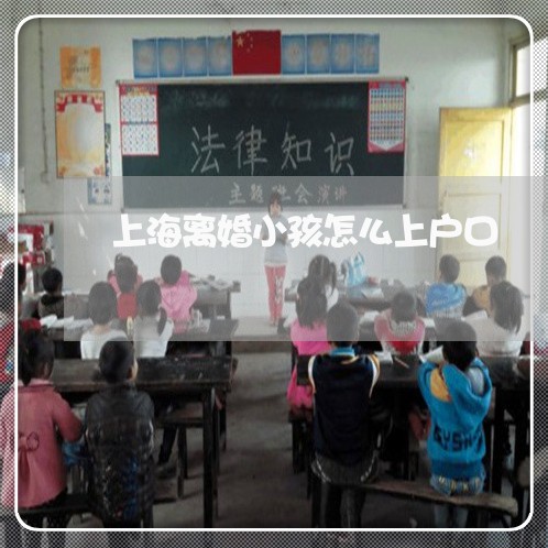 上海离婚小孩怎么上户口/2023041253525