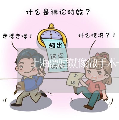 上海离婚就像做手术一样/2023041305961