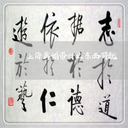 上海离婚带什么东西将就/2023041332026