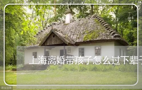 上海离婚带孩子怎么过下辈子/2023032405815 上海离婚带孩子怎么过下辈子/2023032405815