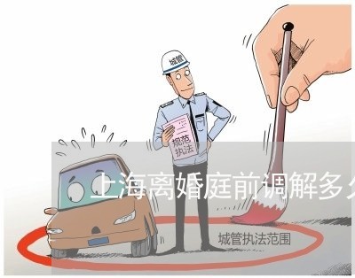 上海离婚庭前调解多久后开庭/2023032310392 上海离婚庭前调解多久后开庭/2023032310392