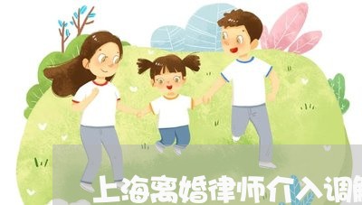 上海离婚律师介入调解案/2023041360493