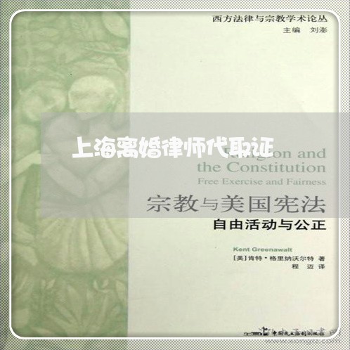 上海离婚律师代取证/2023032688480