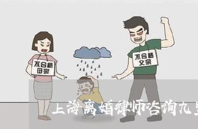 上海离婚律师咨询九里堤/2023041293616