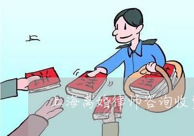 上海离婚律师咨询收费标准多少