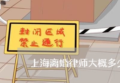 上海离婚律师大概多少钱/2023041351504