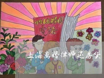 上海离婚律师还房贷/2023032537349